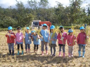 お米がいっぱい詰まってるみたい 画像:お米がいっぱい詰まってるみたい