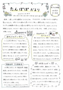 たんぽぽだより