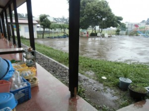 画像：台風8号が接近しています