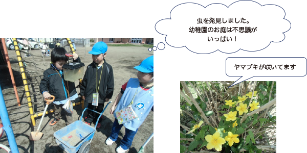 画像：虫を発見しました。幼稚園のお庭は不思議がいっぱい
