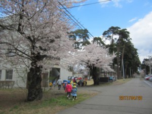 画像：さわやかな5月です2