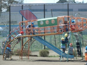 青空の下で、元気いっぱい遊んでいます1 画像:青空の下で、元気いっぱい遊んでいます1