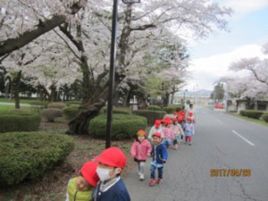 画像：さわやかな5月です1