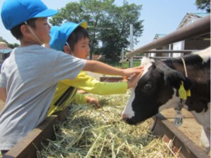 やさしく牛の頭をなでてみました 画像:やさしく牛の頭をなでてみました