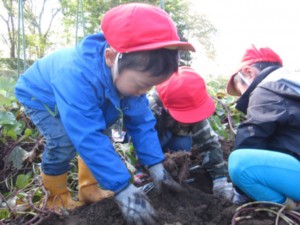 がんばって掘ります! 画像:がんばって掘ります!