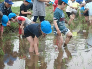 画像：幼稚園の四季2