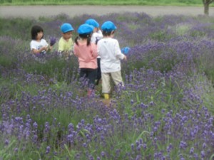 画像：ラベンダーに包まれて