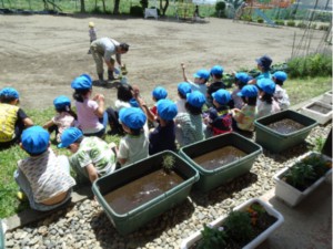 画像：稲を見ながらお話を聴きます