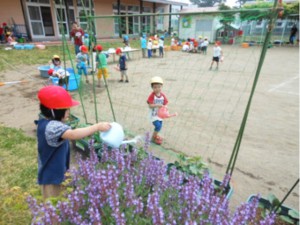 画像：6月さわやかな季節3