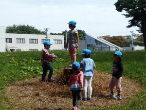 画像：さわやかな秋