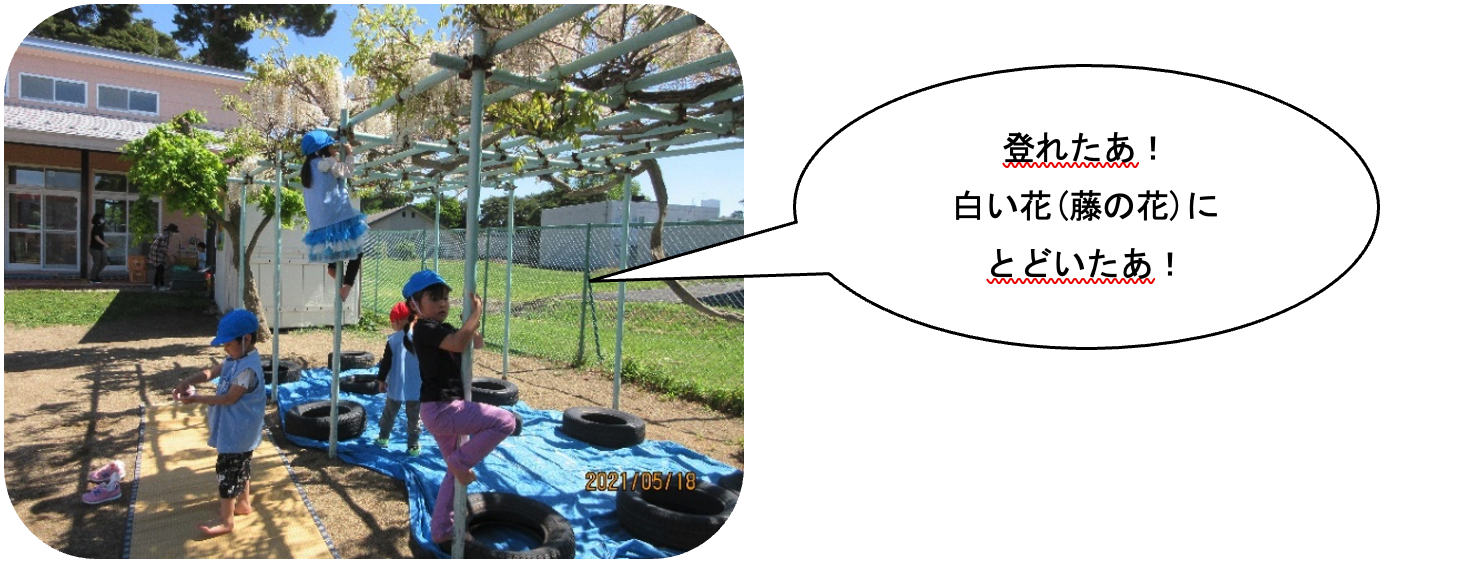 登れたあ!白い花(藤の花)にとどいたあ! 画像:登れたあ!白い花(藤の花)にとどいたあ!