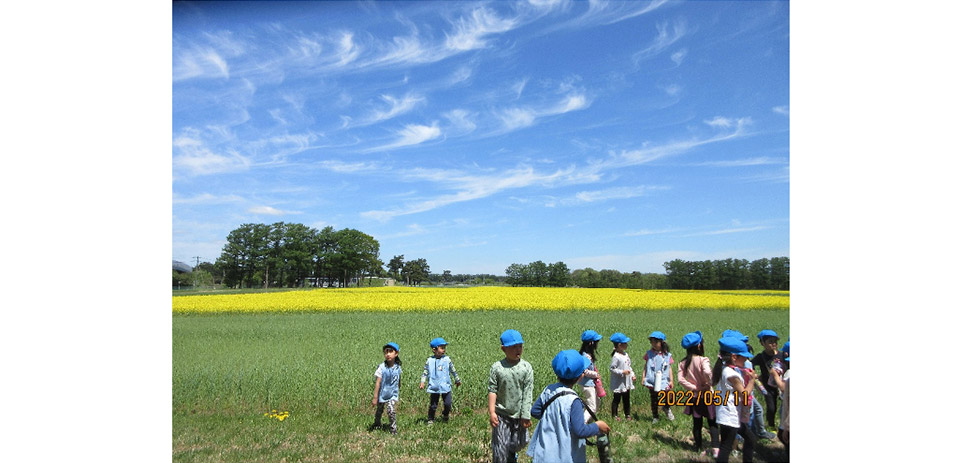 画像：すみれさんになってはじめての散歩！