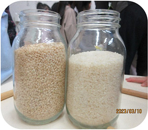 画像：お米作り最終回