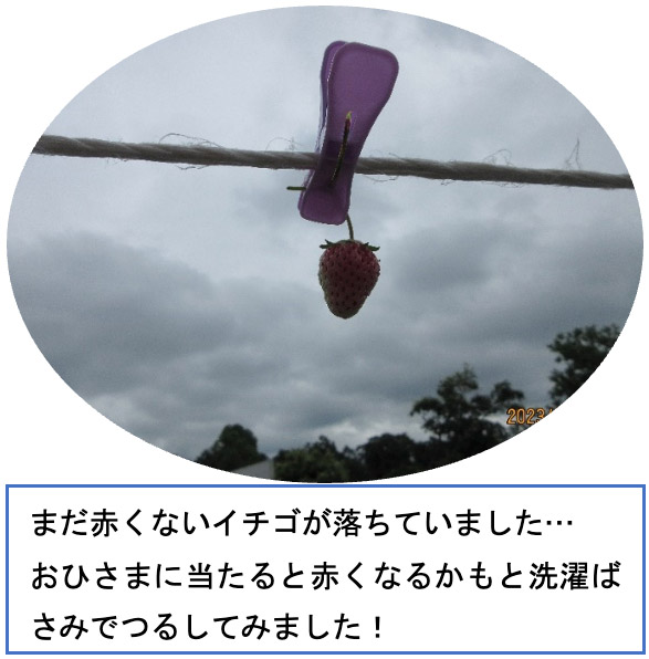 画像：雨の日も楽しい